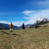 Gisclareny Pedraforca